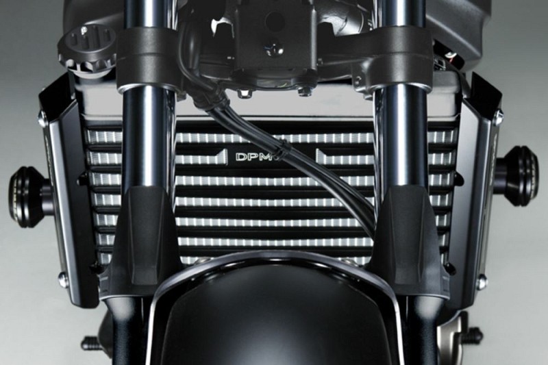De Pretto Moto Προστατευτικ Σιτα Ψυγειου για Yamaha MT07-FZ07 2014