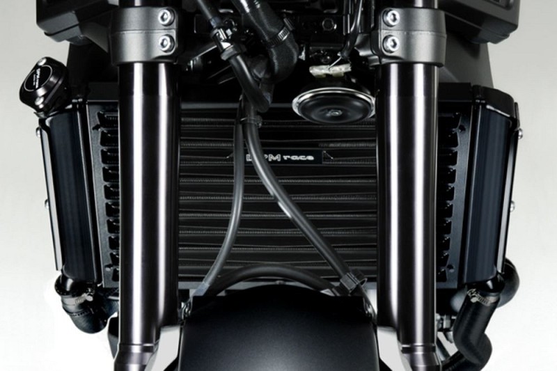 De Pretto Moto Προστατευτικ Σιτα Ψυγειου για Yamaha MT09  2017 -  XSR 900 2015